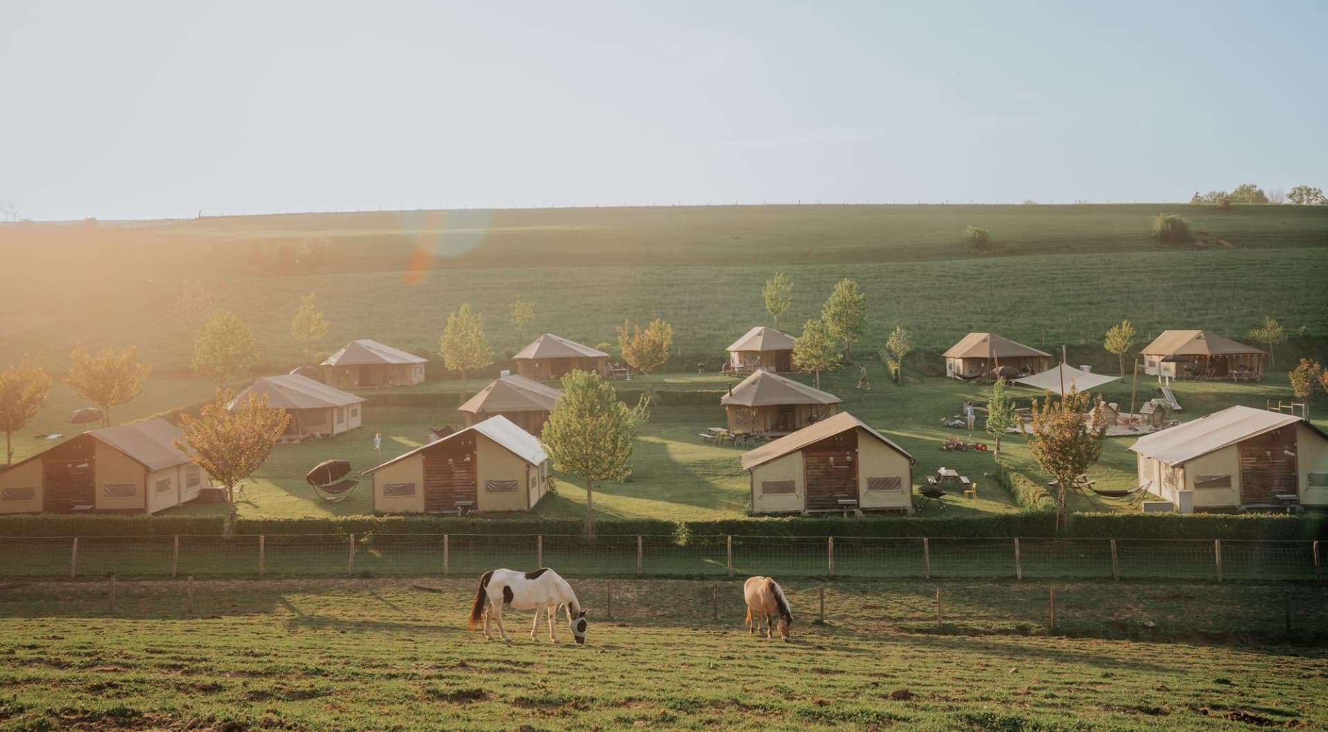 Glampingtenten van De Verloren Kost op een heuvel, met twee grazende paarden ervoor